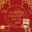 CHINESE NEW YEAR EDM
