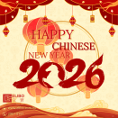 NEW YEAR EDM
